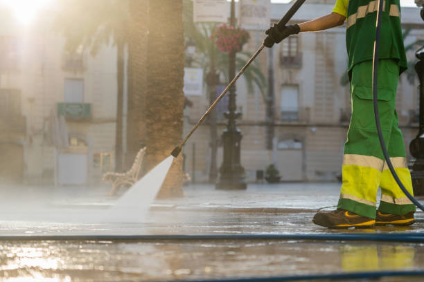Best Roof Cleaning and Mildew Removal in Wheaton, IL